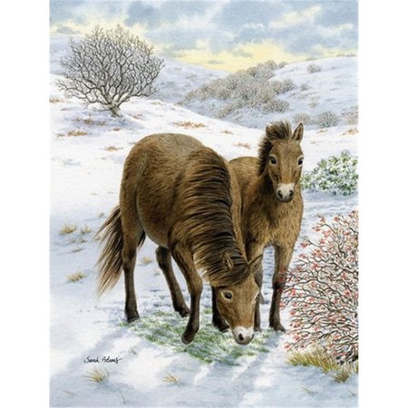 PATIOPLUS Exmoor Ponies Horse Flag Garden Size PA632582